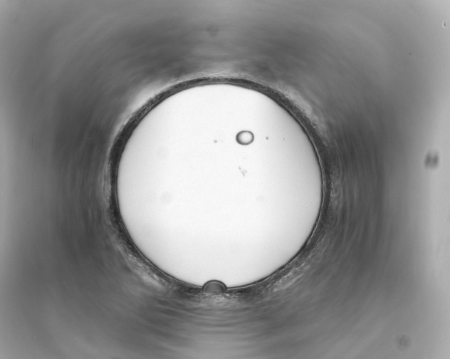 X0000093751270200711131117