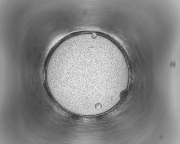 X0000093751271200711131117