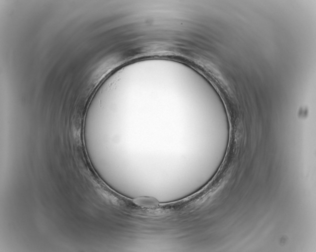 X0000093751273200711131117