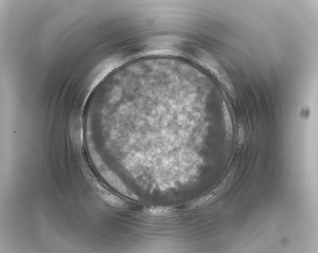 X0000093751274200711131116