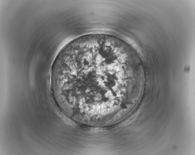 X0000093751275200711131116