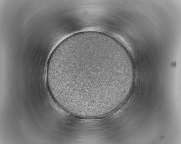 X0000093751276200711131116