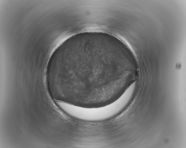 X0000093751277200711131116