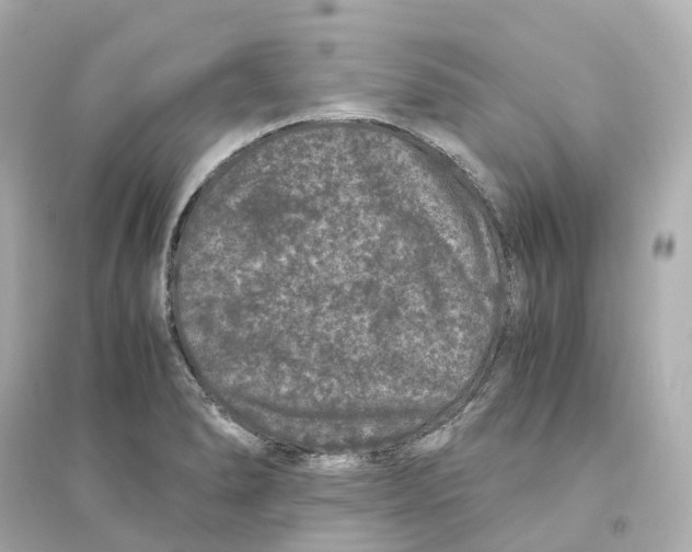 X0000093751278200711131116