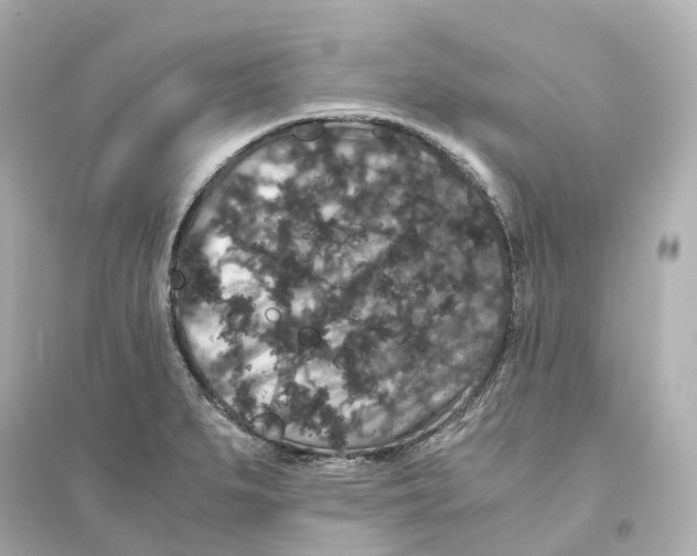 X0000093751279200711131116