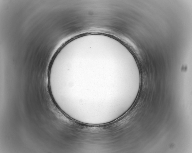 X0000093751280200711131116