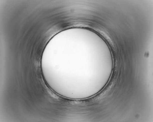 X0000093751281200711131116