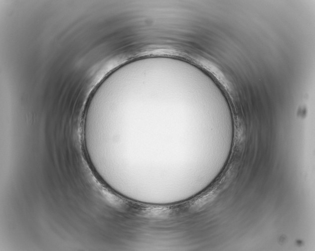 X0000093751282200711131116