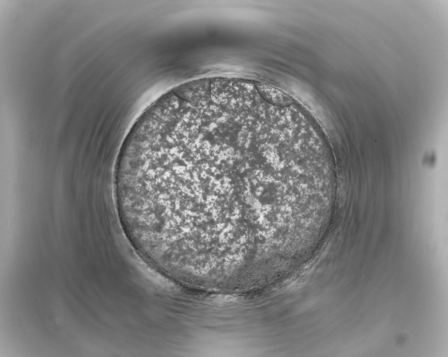 X0000093751283200711131116