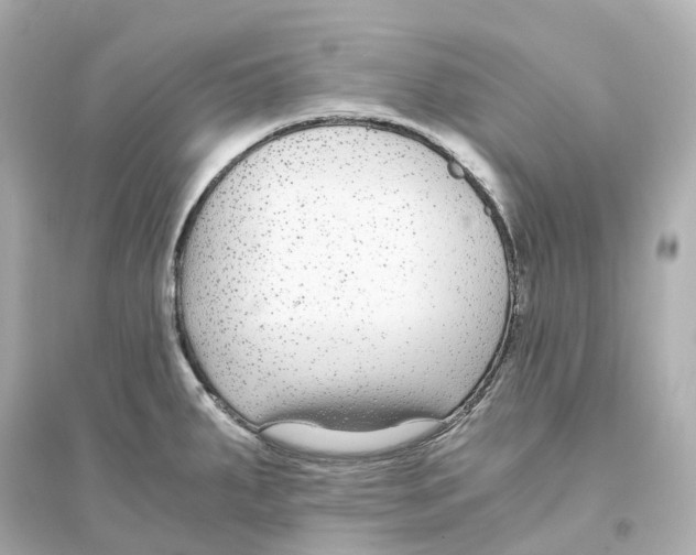 X0000093751287200711131116