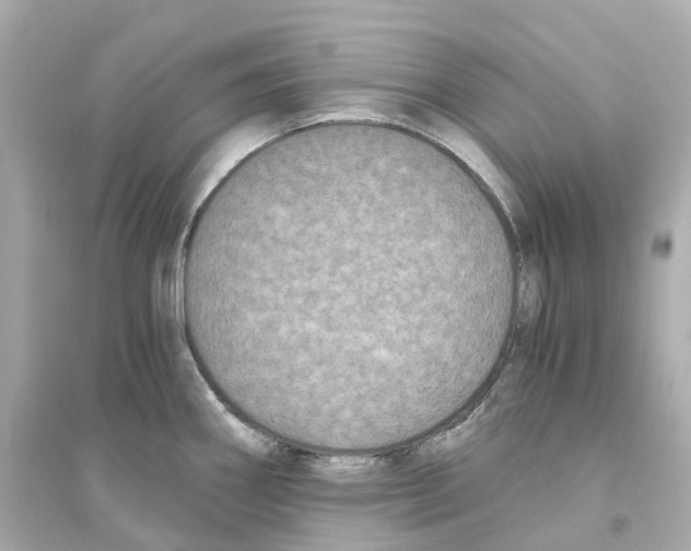 X0000093751290200711131116