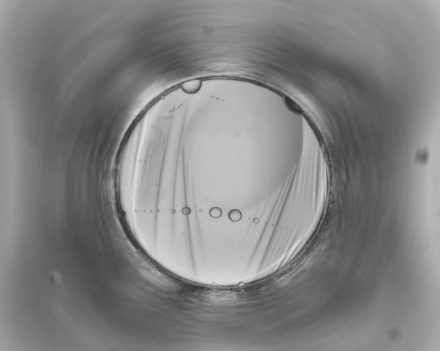 X0000093751291200711131116