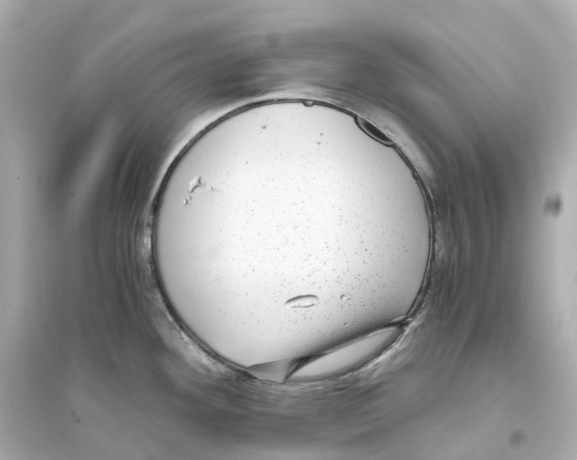 X0000093751292200711131116