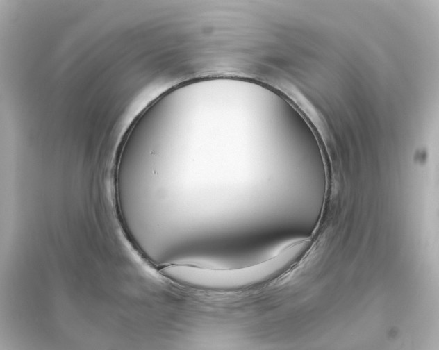 X0000093751293200711131116