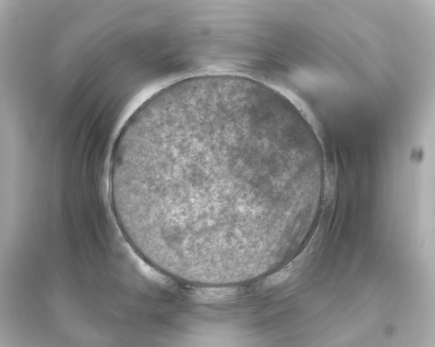 X0000093751294200711131116