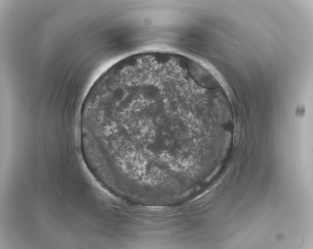 X0000093751295200711131116