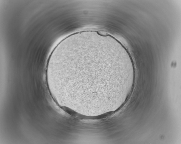 X0000093751296200711131116