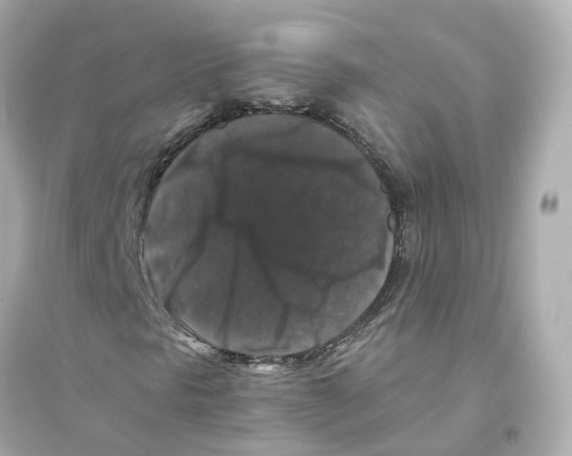 X0000093751297200711131116