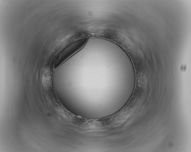 X0000093751298200711131116