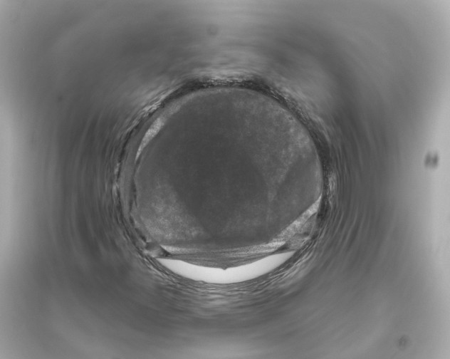 X0000093751300200711131116