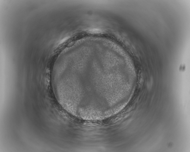 X0000093751301200711131116