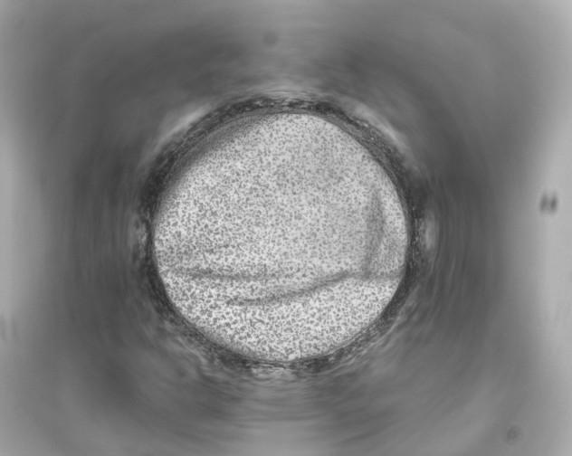 X0000093751302200711131116