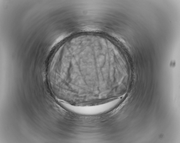 X0000093751306200711131116