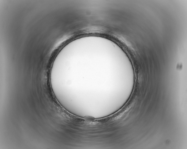 X0000093751309200711131116