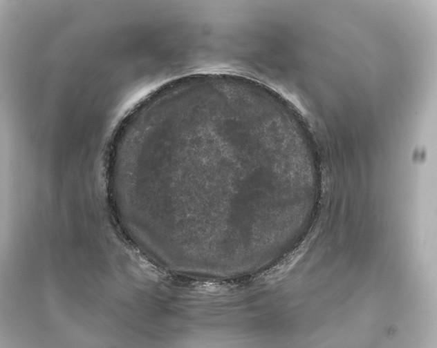 X0000093751311200711131116