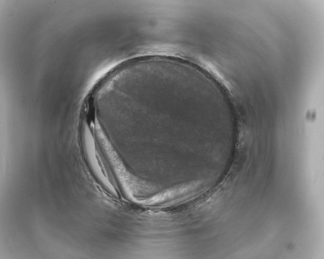 X0000093751312200711131116