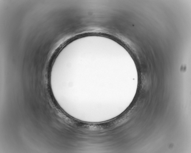 X0000093751318200711131116