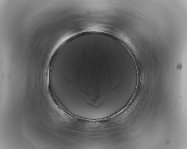 X0000093751323200711131116