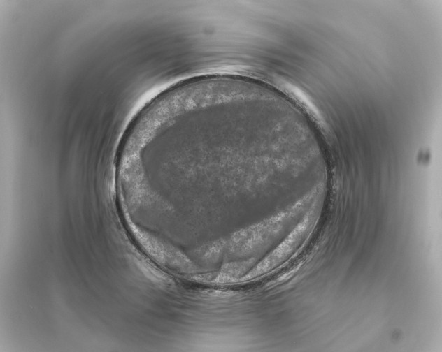 X0000093751324200711131116