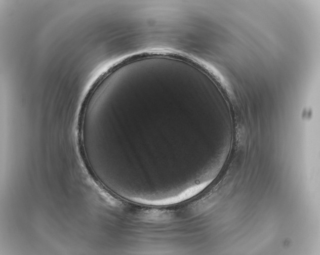 X0000093751327200711131116