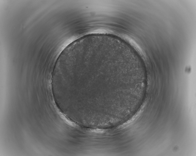 X0000093751329200711131116