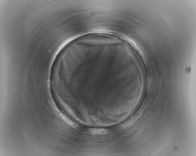 X0000093751331200711131116