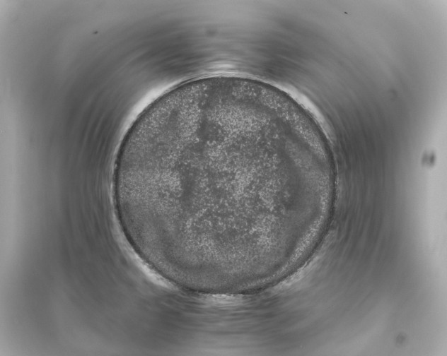 X0000093751333200711131116