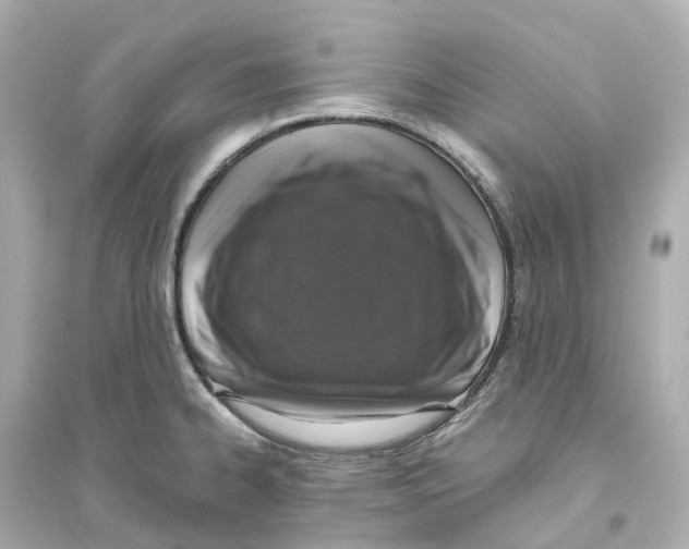 X0000093751334200711131116