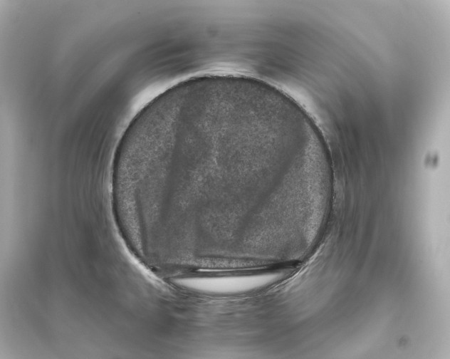 X0000093751335200711131116