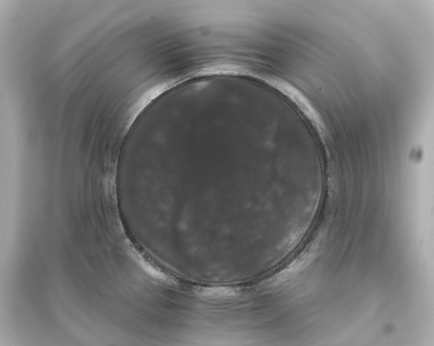 X0000093751337200711131116