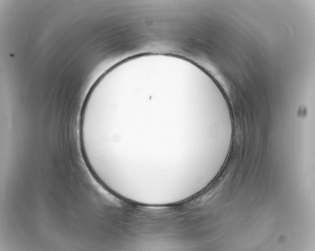 X0000093751343200711131116