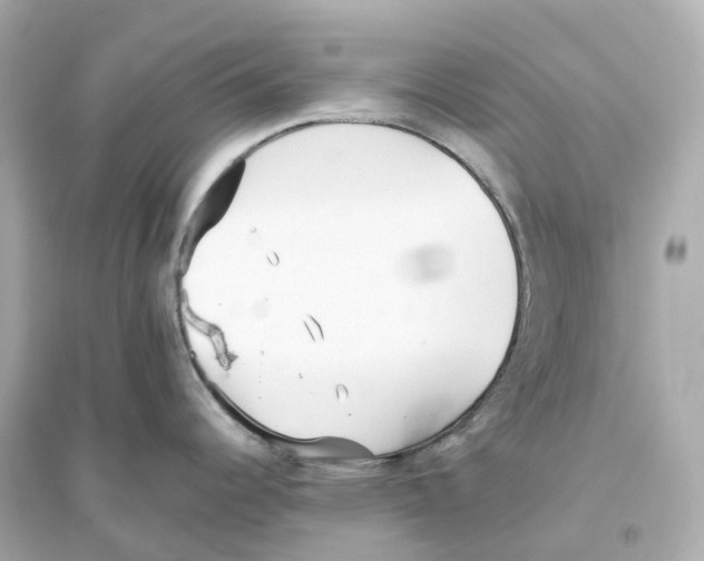 X0000093751344200711131116