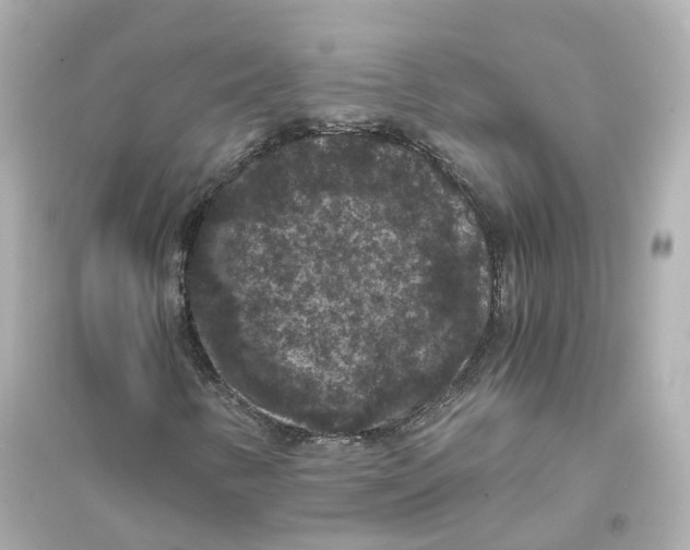 X0000093751346200711131115