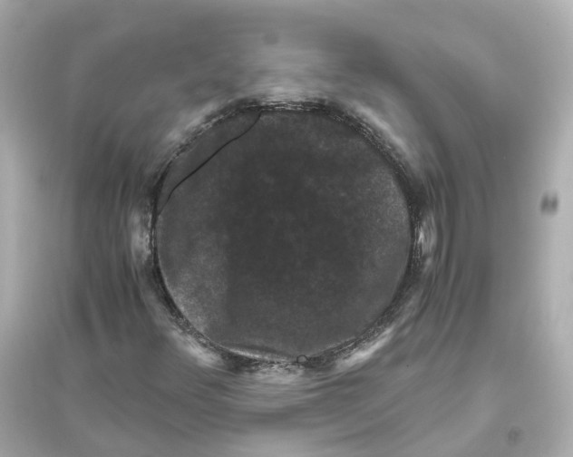 X0000093751348200711131115