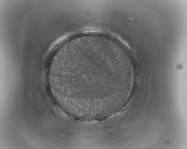 X0000093751351200711131115