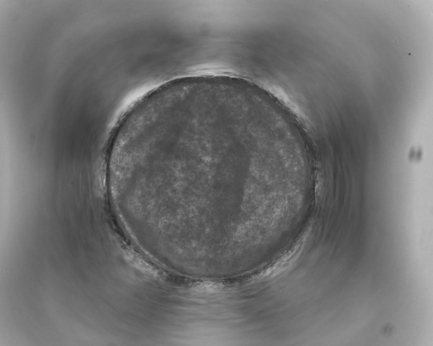 X0000093751358200711131115