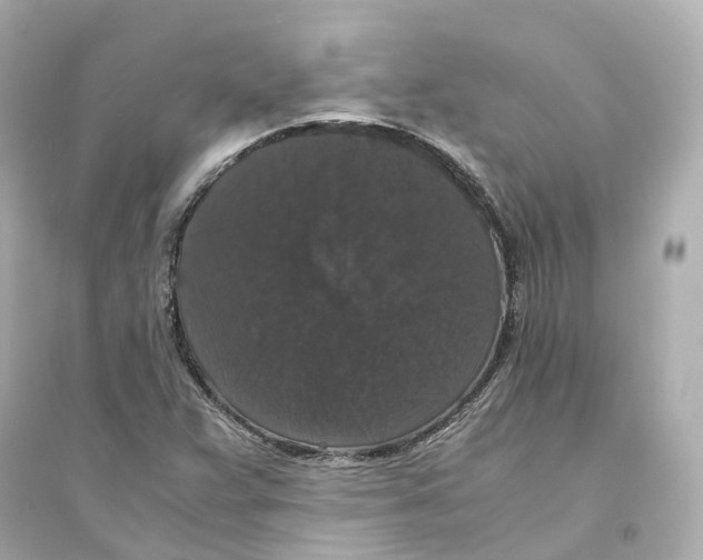 X0000093751359200711131115