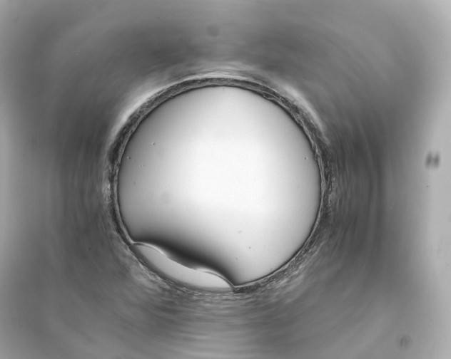 X0000093751360200711131115