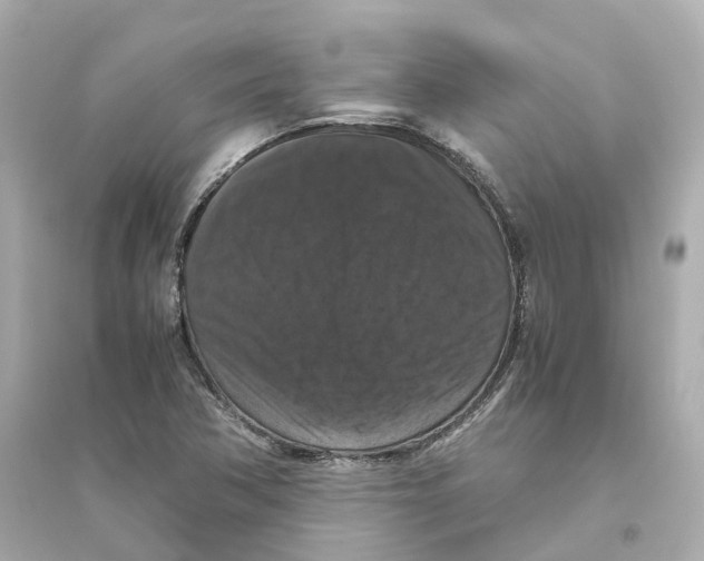 X0000093751362200711131115