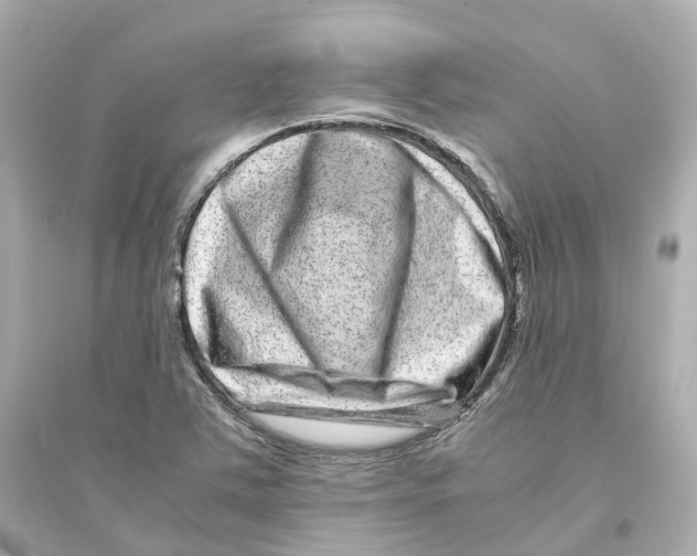 X0000093751363200711131115